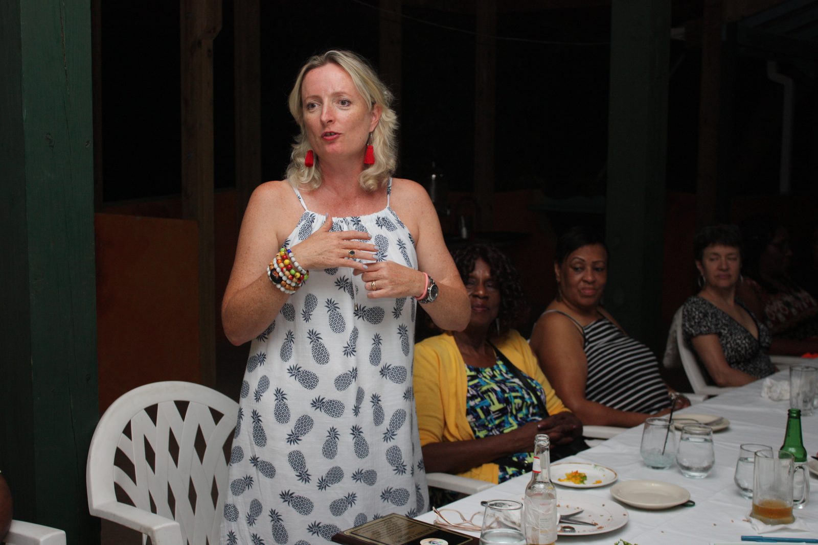 CHO mission dinner remarks